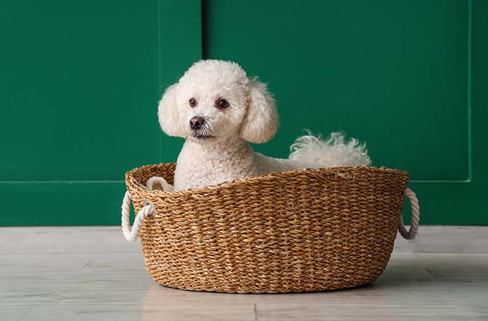 Routine maintenance or full makeovers